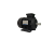 IMG_3637_preview_rev_1.png